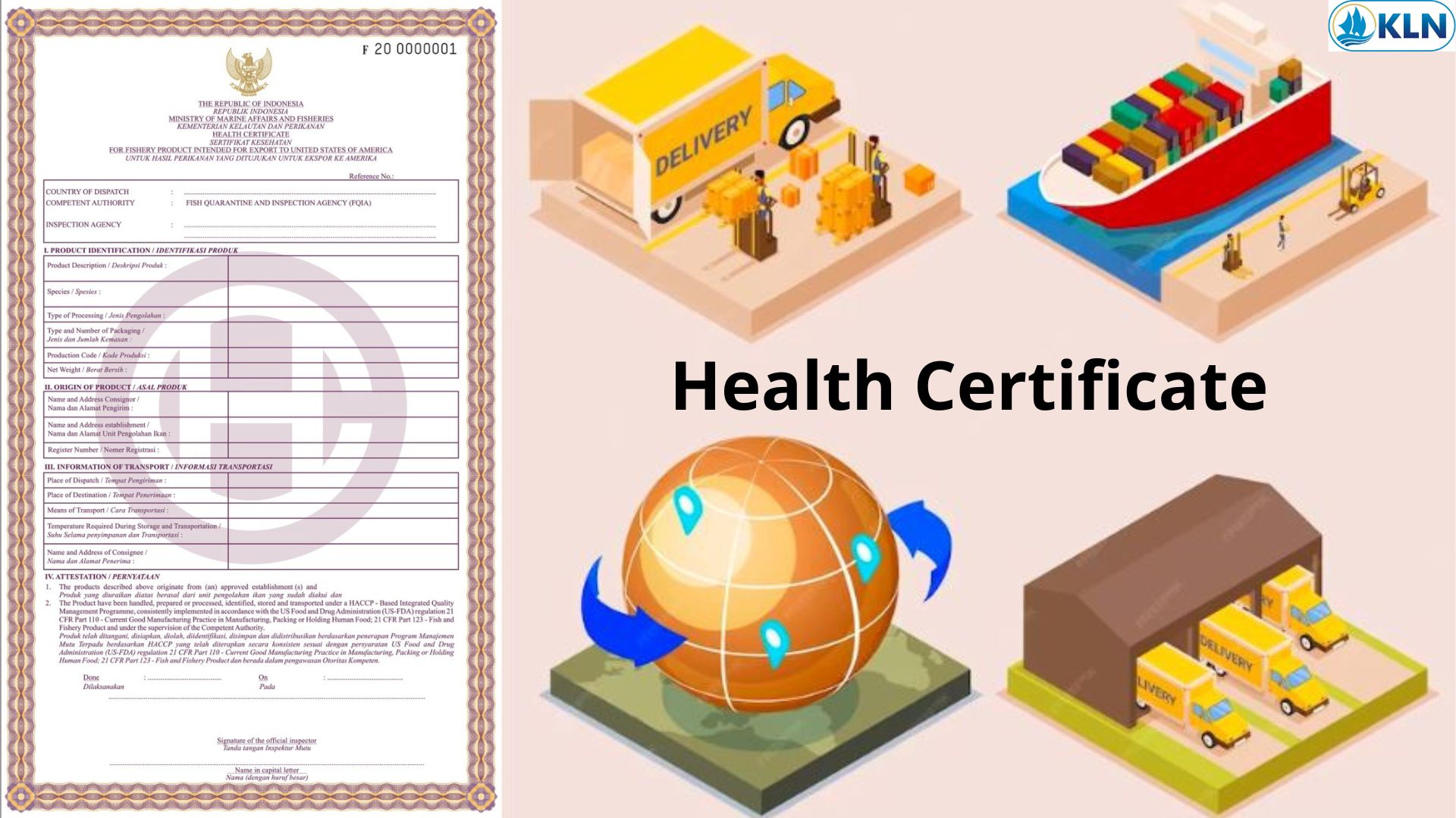 Health Certificate